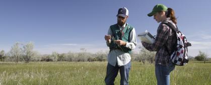 Montana Institute on Ecosystems (IoE) Statewide Undergraduate Summer Research Experience Program