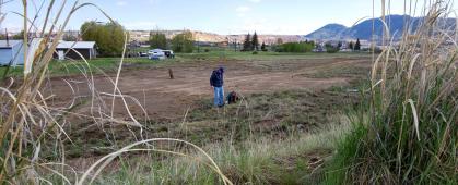 New York Times on Restoration of Silver Bow Creek