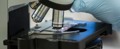 MSU receives ‘very high research activity’ designation in Carnegie classification