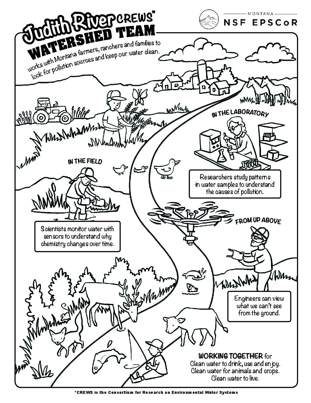 New coloring activity for kids illustrates CREWS research in the Judith River Watershed