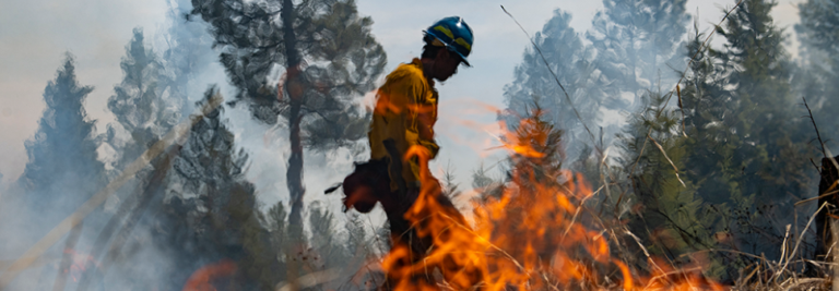 Montana awarded $20M from NSF EPSCoR