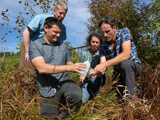 Montana State research team receives new funding to examine nitrogen processing in riparian areas